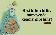 1605264958726.png