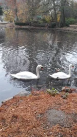 20201127_155246.jpg