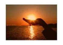 indir.webp