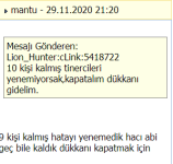 resim_2020-11-29_212816.png