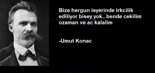 1607459558462.png