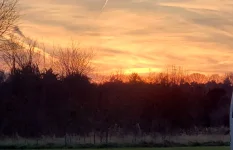 20201210_165705.webp