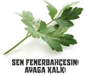 EJhqNIcWkAALVlp.jpg
