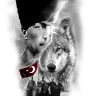 Serkan Çakır